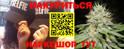 шишки Боровичи