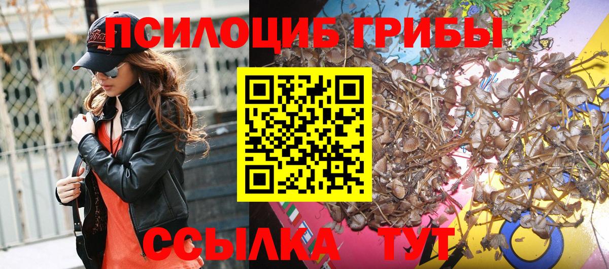 Галлюциногенные грибы GOLDEN TEACHER Татарск