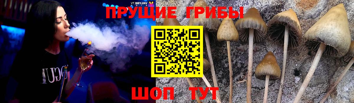 Татарск  Галлюциногенные грибы MAGIC MUSHROOMS  Вход с VPN 